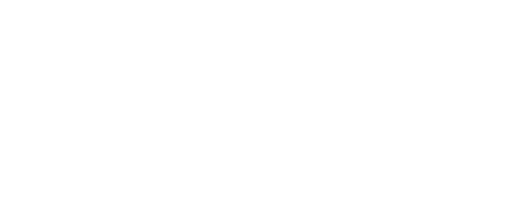 The Visionary Group