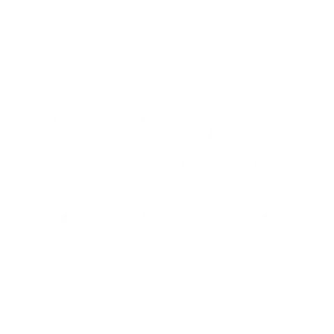 BDO Alliance USA